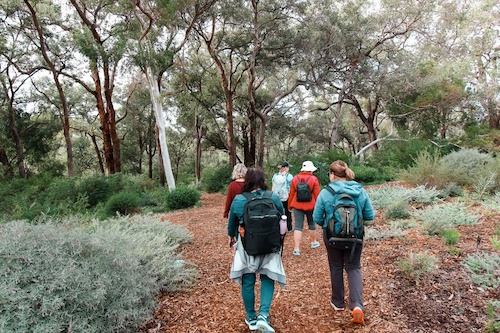 Kings Park Botanicals & Beyond Guided Hike - 2.5 Hrs