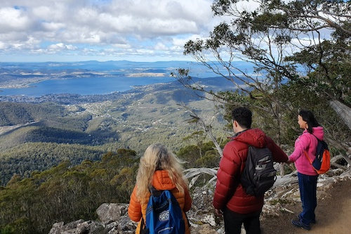 4 Hour Mount Wellington Arrival Tour with Organ Pipes Walk