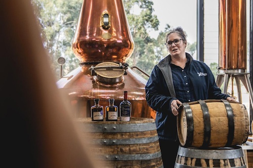 Discover Tasmania's Flavors: Coal Valley Wine and Gin Safari from Hobart