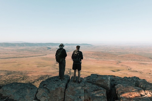 Flinders Ranges Scenic Drive and Wildlife Expedition